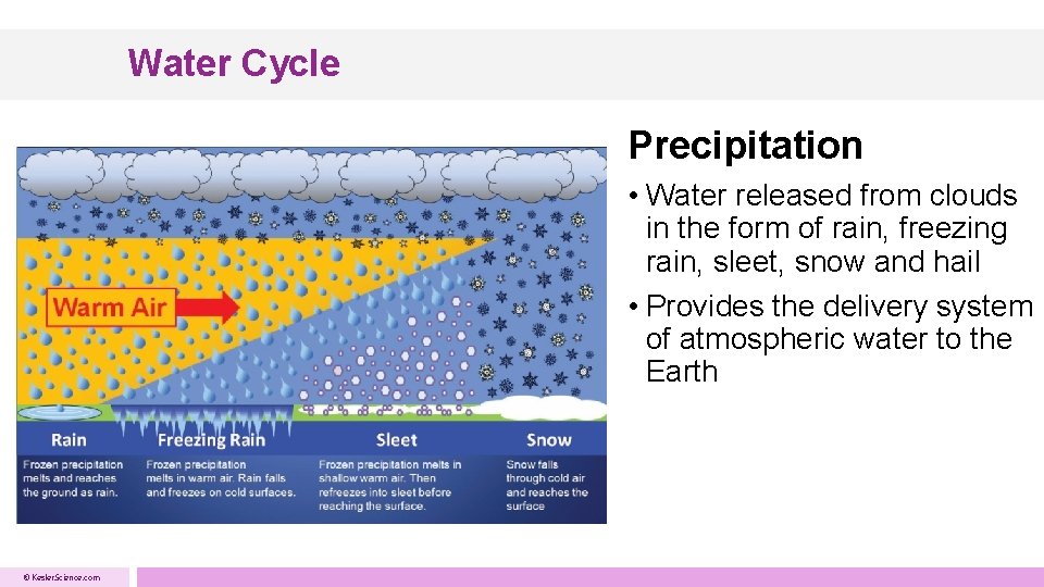 Water Cycle Precipitation • Water released from clouds in the form of rain, freezing Water Cycle Precipitation • Water released from clouds in the form of rain, freezing