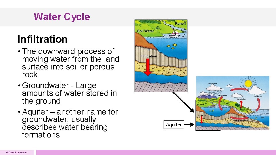 Water Cycle Infiltration • The downward process of moving water from the land surface Water Cycle Infiltration • The downward process of moving water from the land surface