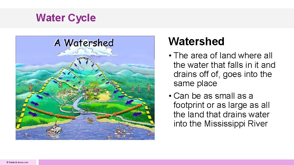 Water Cycle Watershed • The area of land where all the water that falls Water Cycle Watershed • The area of land where all the water that falls