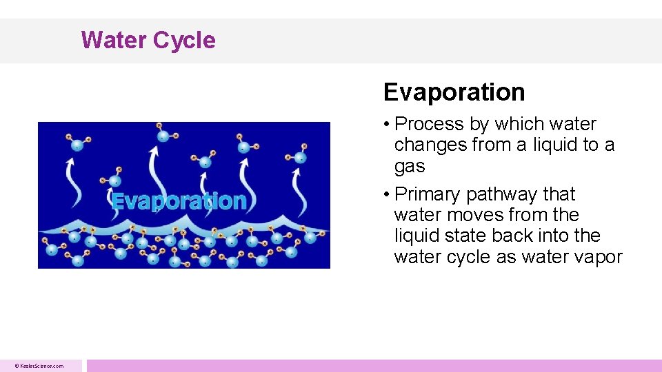 Water Cycle Evaporation • Process by which water changes from a liquid to a Water Cycle Evaporation • Process by which water changes from a liquid to a