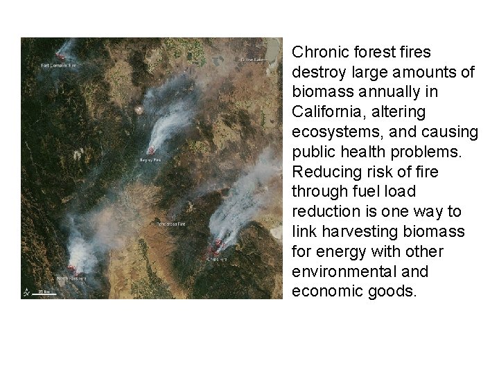 Chronic forest fires destroy large amounts of biomass annually in California, altering ecosystems, and