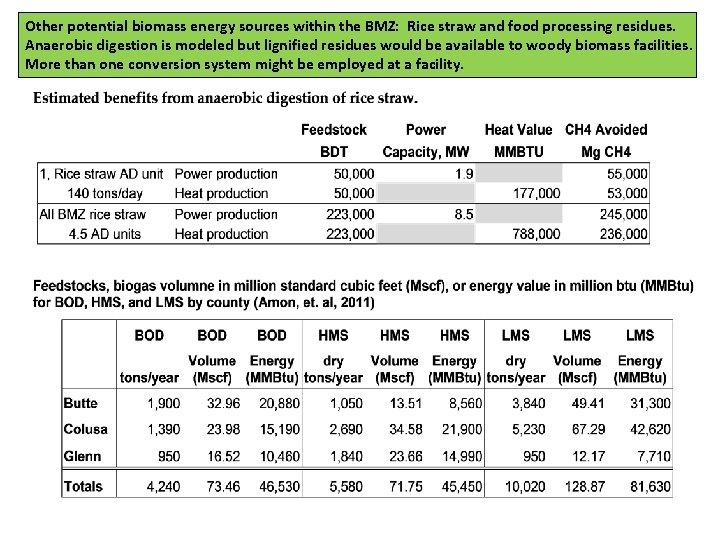 Other potential biomass energy sources within the BMZ: Rice straw and food processing residues.