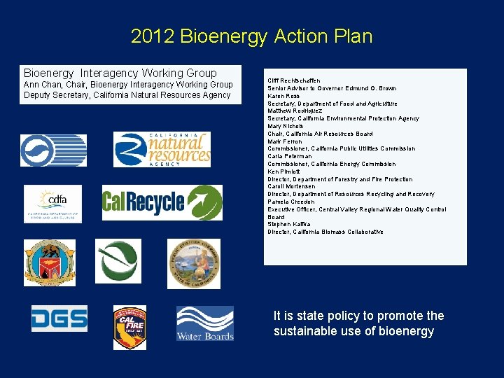 2012 Bioenergy Action Plan Bioenergy Interagency Working Group Ann Chan, Chair, Bioenergy Interagency Working