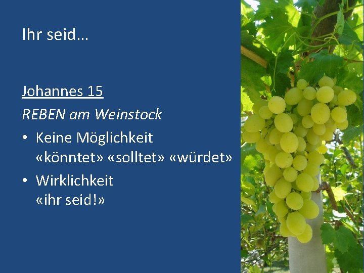 Ihr seid… Johannes 15 REBEN am Weinstock • Keine Möglichkeit «könntet» «solltet» «würdet» •