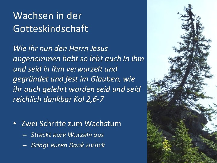 Wachsen in der Gotteskindschaft Wie ihr nun den Herrn Jesus angenommen habt so lebt