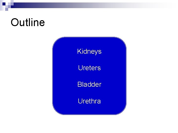 Outline Kidneys Ureters Bladder Urethra 
