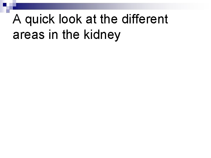 A quick look at the different areas in the kidney 