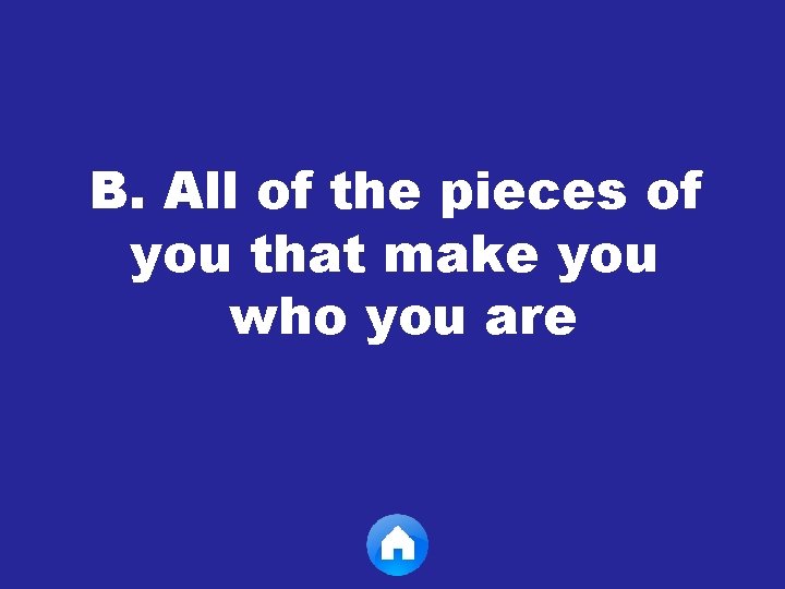 B. All of the pieces of you that make you who you are 