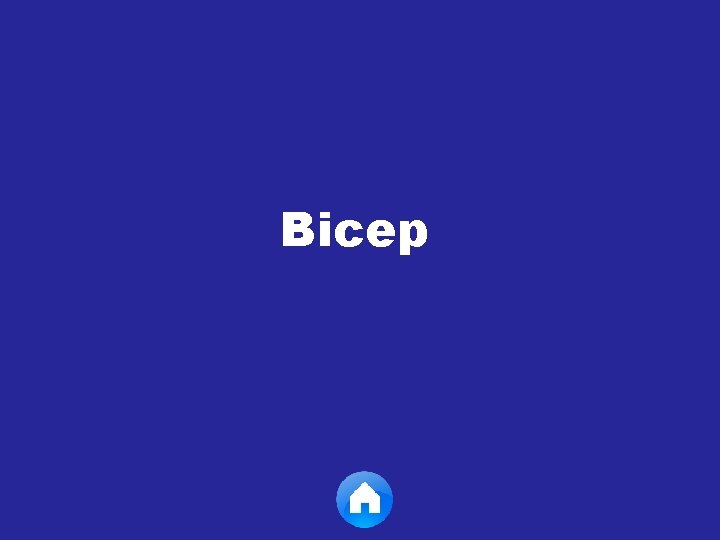 Bicep 