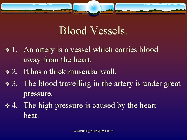 Blood Vessels. v 1. An artery is a vessel which carries blood away from