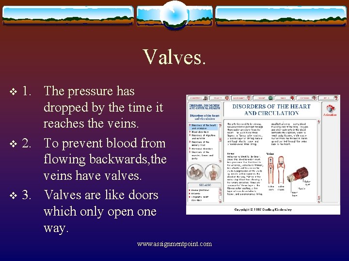 Valves. 1. The pressure has dropped by the time it reaches the veins. v
