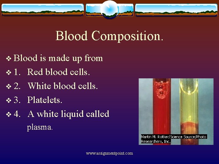 Blood Composition. v Blood v 1. v 2. v 3. v 4. is made