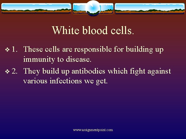 White blood cells. v 1. These cells are responsible for building up immunity to