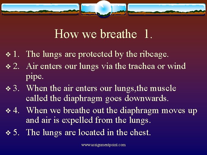 How we breathe 1. v 2. v 3. v 4. v 5. The lungs