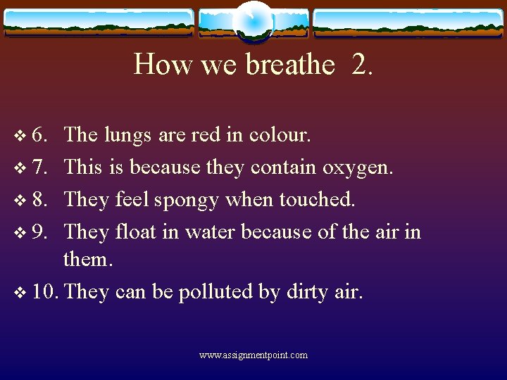 How we breathe 2. v 6. The lungs are red in colour. v 7.