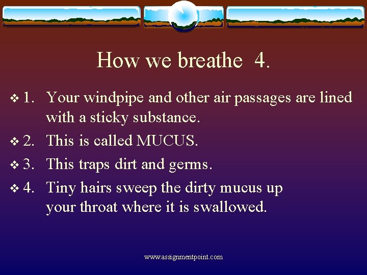 How we breathe 4. v 1. Your windpipe and other air passages are lined