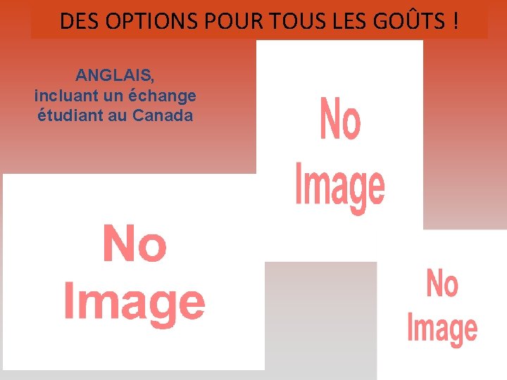 DES OPTIONS POUR TOUS LES GOÛTS ! ANGLAIS, incluant un échange étudiant au Canada