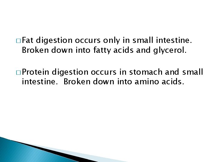 � Fat digestion occurs only in small intestine. Broken down into fatty acids and