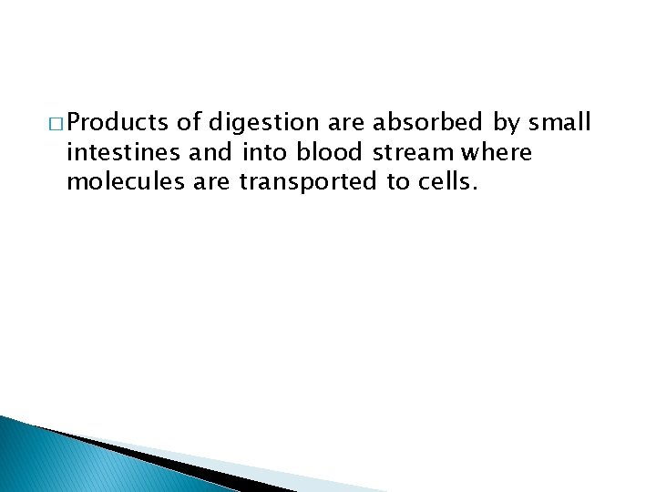 � Products of digestion are absorbed by small intestines and into blood stream where
