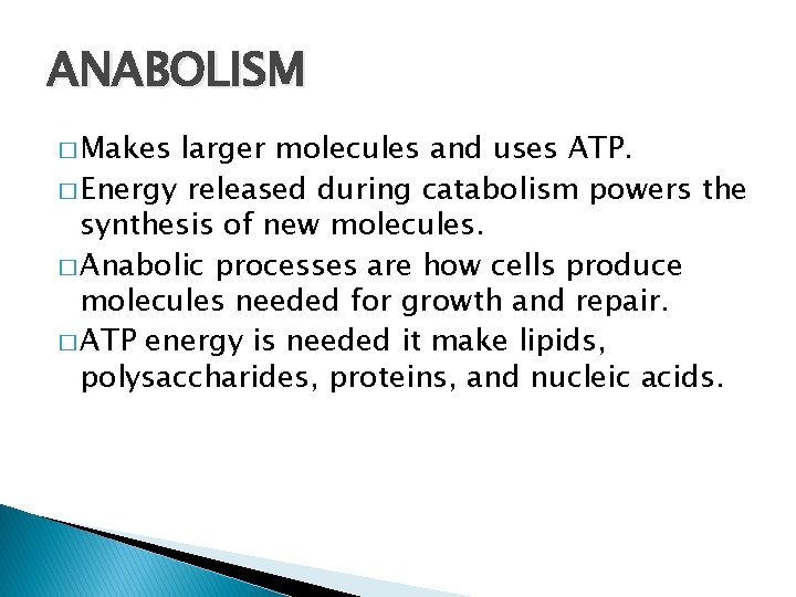 ANABOLISM � Makes larger molecules and uses ATP. � Energy released during catabolism powers