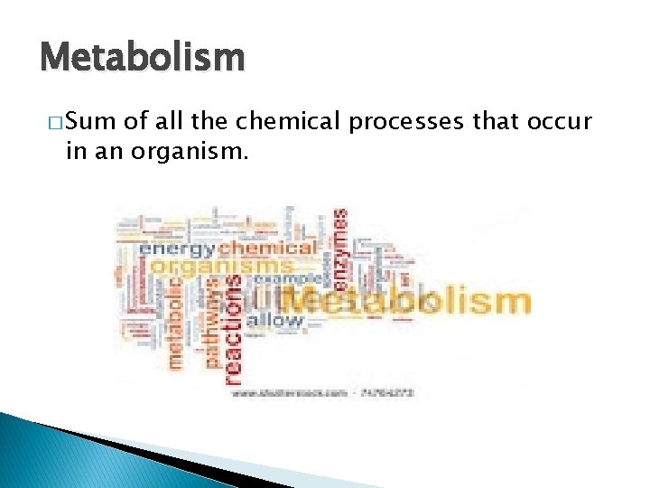 Metabolism � Sum of all the chemical processes that occur in an organism. 