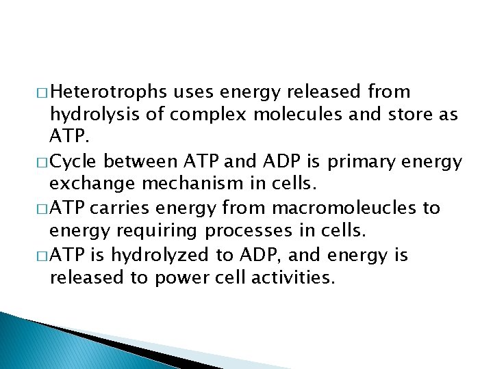 � Heterotrophs uses energy released from hydrolysis of complex molecules and store as ATP.