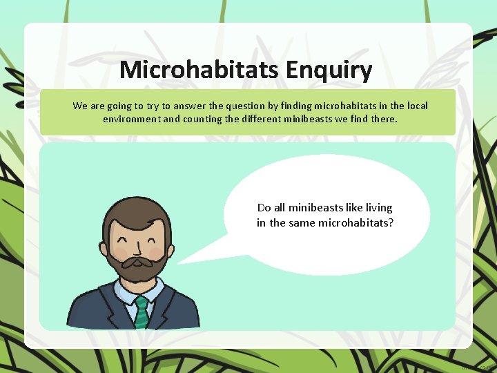 Microhabitats Enquiry We are going to try to answer the question by finding microhabitats