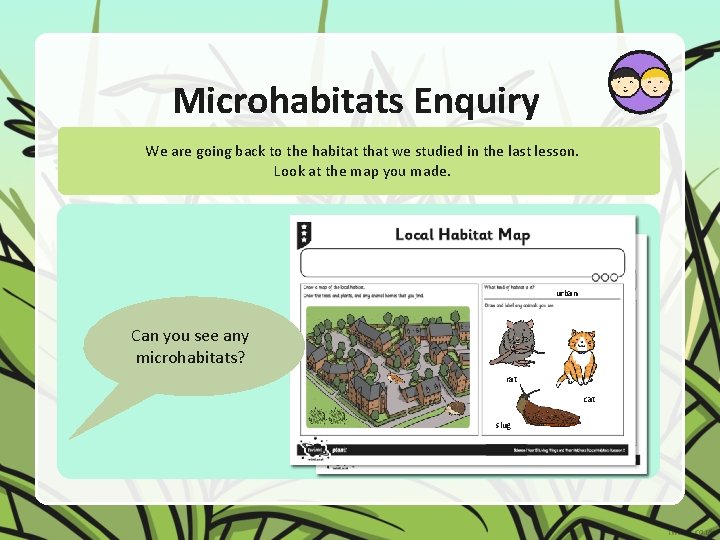 Microhabitats Enquiry We are going back to the habitat that we studied in the