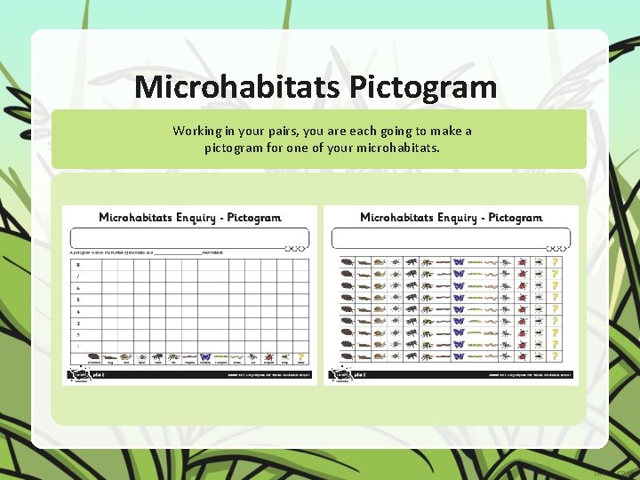 Microhabitats Pictogram Working in your pairs, you are each going to make a pictogram
