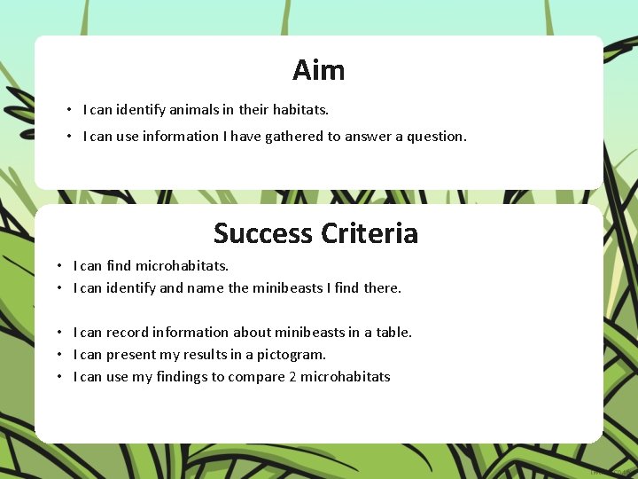 Aim • I can identify animals in their habitats. • I can use information