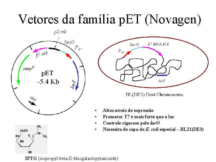 Vetores da família p. ET (Novagen) • • Altos níveis de expressão Promotor T