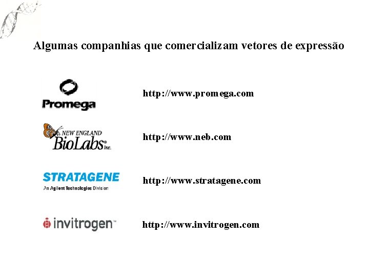 Algumas companhias que comercializam vetores de expressão http: //www. promega. com http: //www. neb.