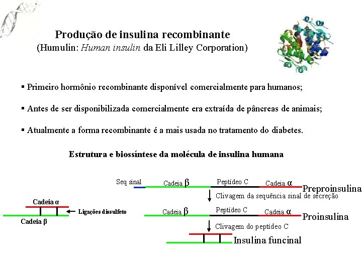 Produção de insulina recombinante (Humulin: Human insulin da Eli Lilley Corporation) § Primeiro hormônio