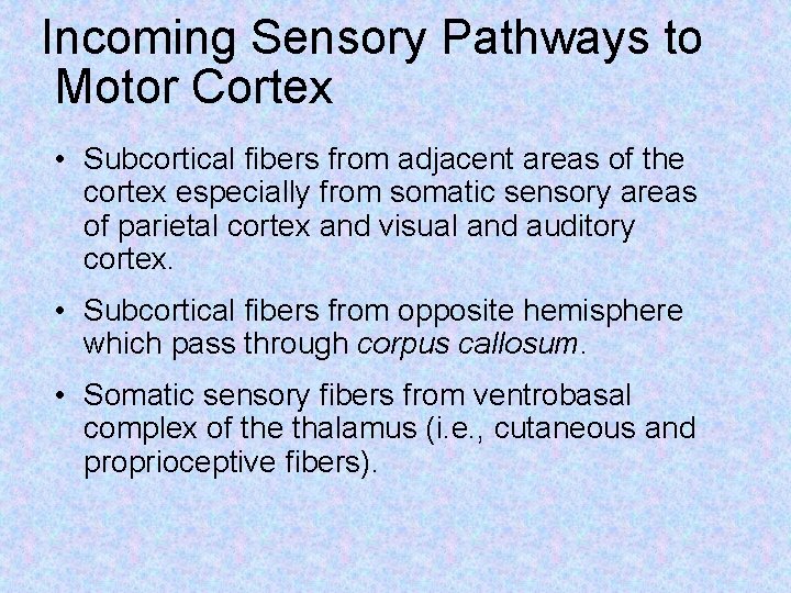 Incoming Sensory Pathways to Motor Cortex • Subcortical fibers from adjacent areas of the