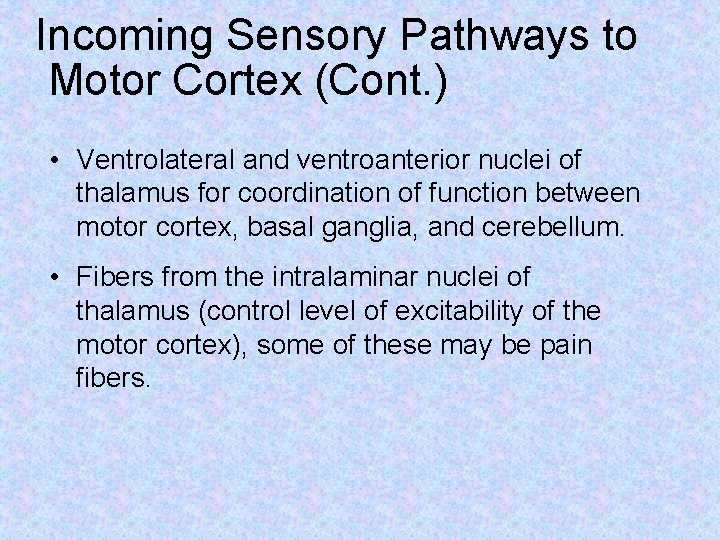Incoming Sensory Pathways to Motor Cortex (Cont. ) • Ventrolateral and ventroanterior nuclei of