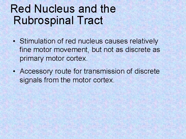 Red Nucleus and the Rubrospinal Tract • Stimulation of red nucleus causes relatively fine