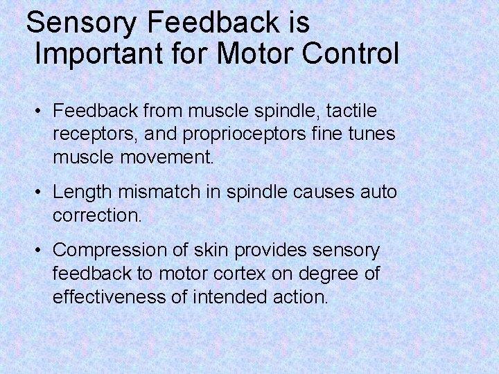 Sensory Feedback is Important for Motor Control • Feedback from muscle spindle, tactile receptors,