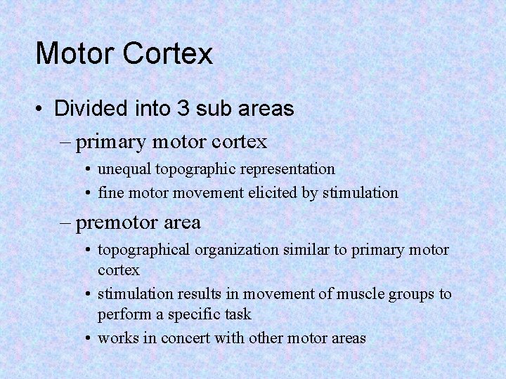Motor Cortex • Divided into 3 sub areas – primary motor cortex • unequal