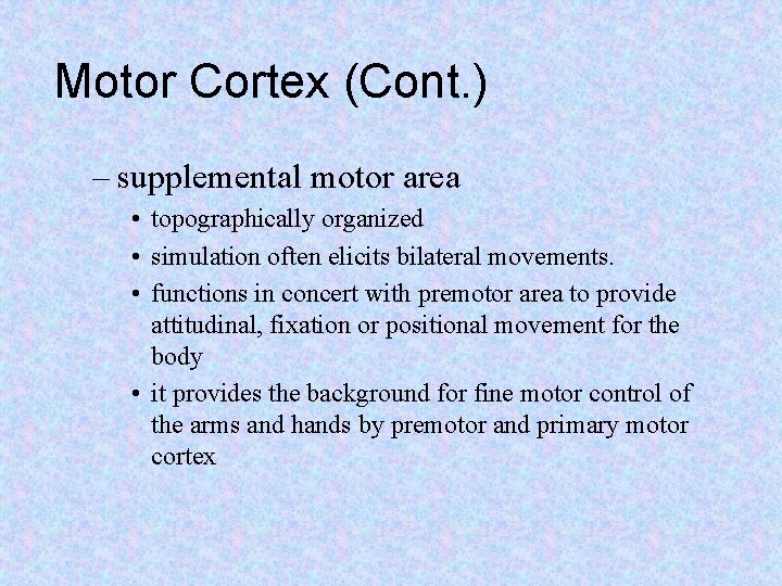 Motor Cortex (Cont. ) – supplemental motor area • topographically organized • simulation often