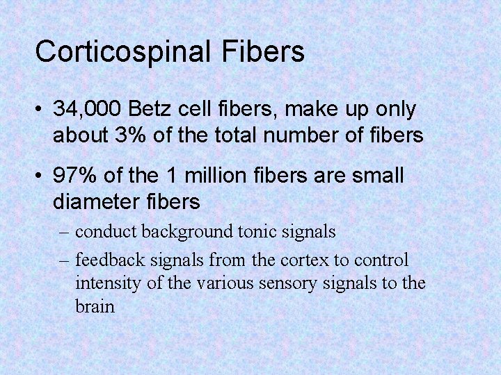 Corticospinal Fibers • 34, 000 Betz cell fibers, make up only about 3% of
