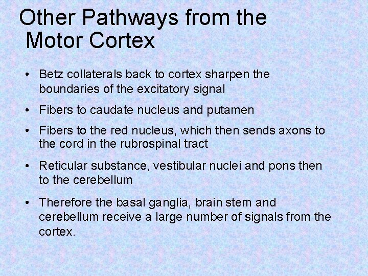 Other Pathways from the Motor Cortex • Betz collaterals back to cortex sharpen the