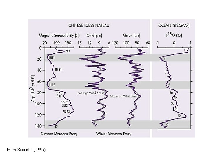From Xiao et al. , 1995) 