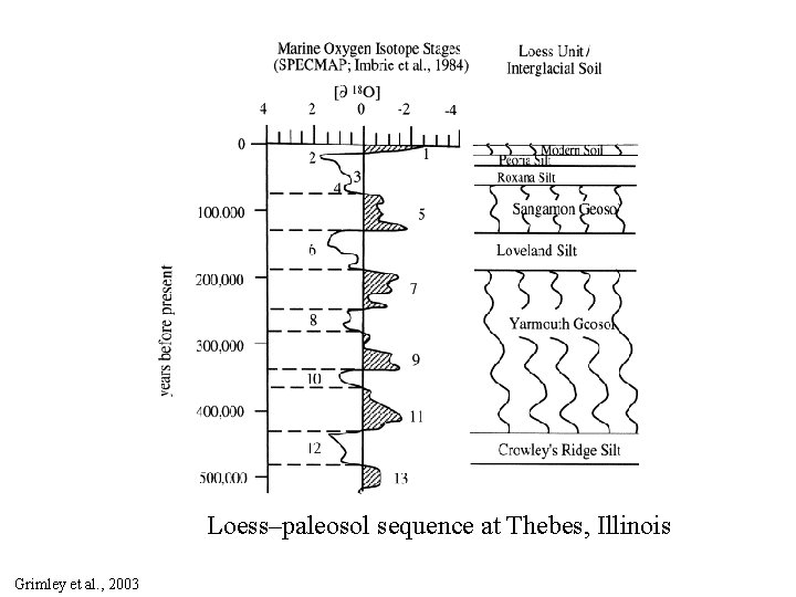 Loess–paleosol sequence at Thebes, Illinois Grimley et al. , 2003 