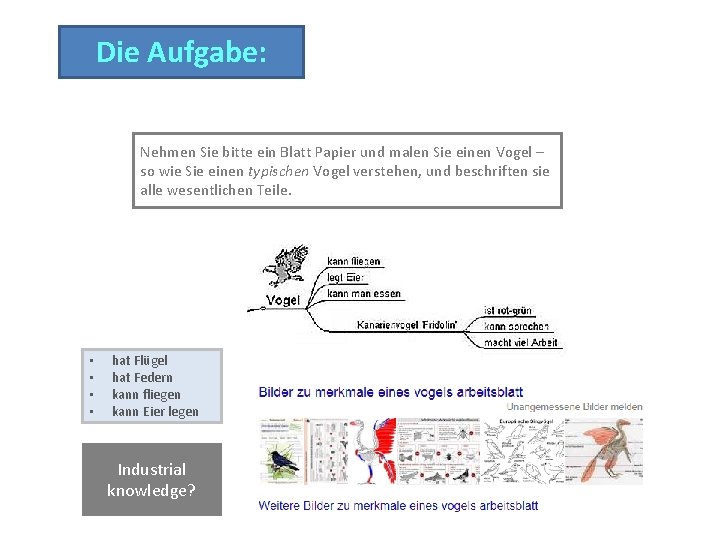 Die Aufgabe: Nehmen Sie bitte ein Blatt Papier und malen Sie einen Vogel –