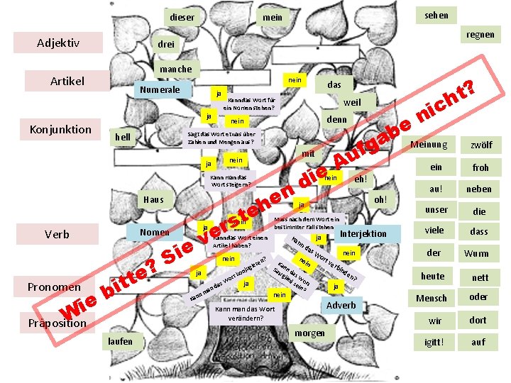 dieser Adjektiv regnen drei manche Artikel nein Numerale ja Konjunktion denn nein mit nein