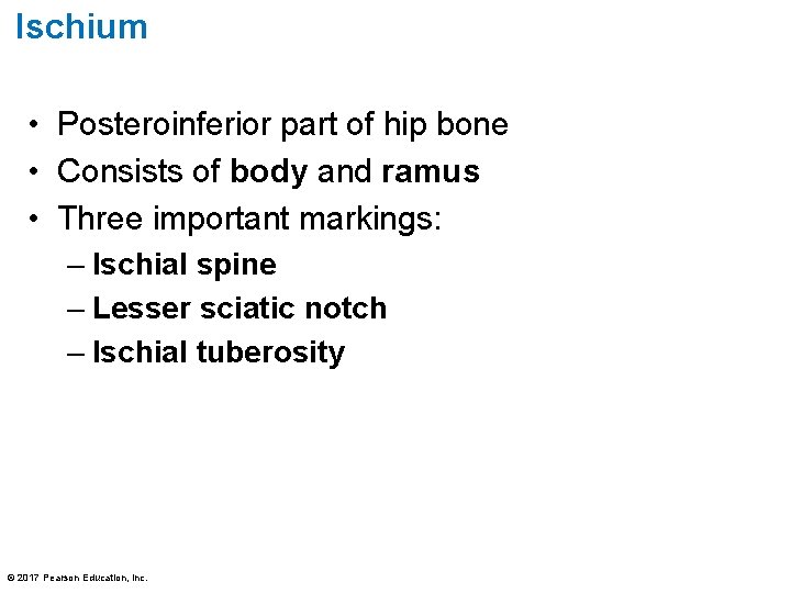 Ischium • Posteroinferior part of hip bone • Consists of body and ramus •