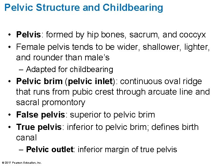 Pelvic Structure and Childbearing • Pelvis: formed by hip bones, sacrum, and coccyx •