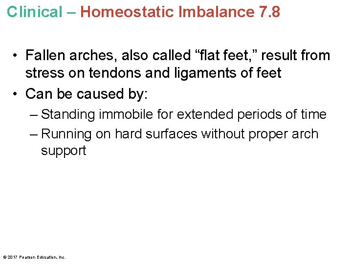 Clinical – Homeostatic Imbalance 7. 8 • Fallen arches, also called “flat feet, ”
