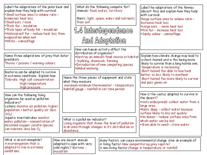 Label the adaptations of the polar bear and explain how they help with survival: