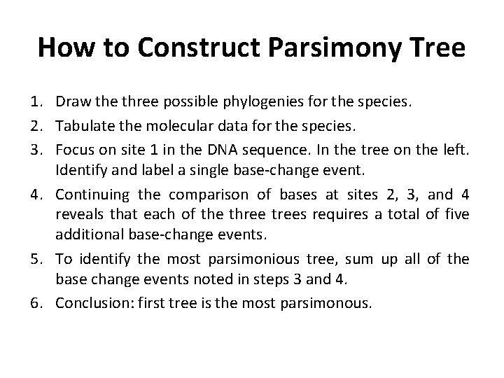 How to Construct Parsimony Tree 1. Draw the three possible phylogenies for the species.